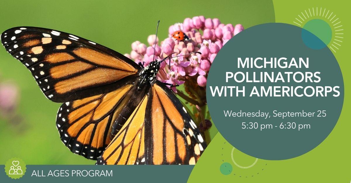 Photo of monarch resting on a flower